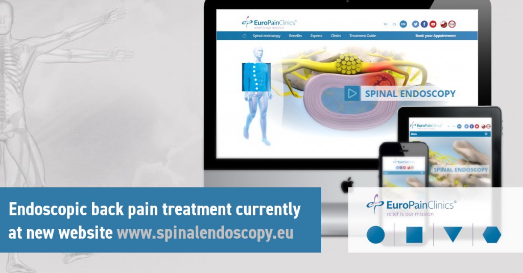 spinalendoscopy-en